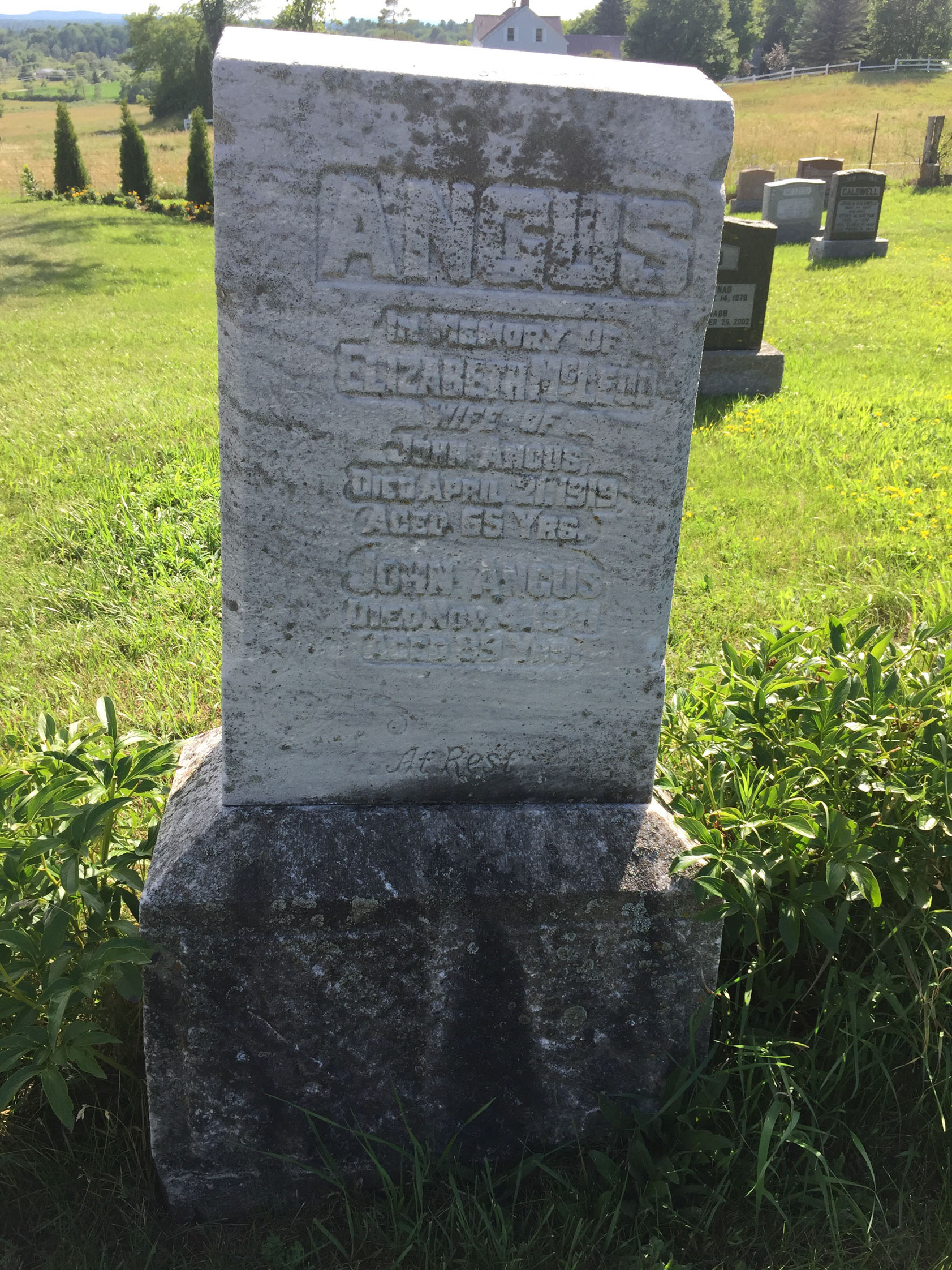 Photo of headstones/Elizabeth McLeod died 1919 MI Douglas, Ontario